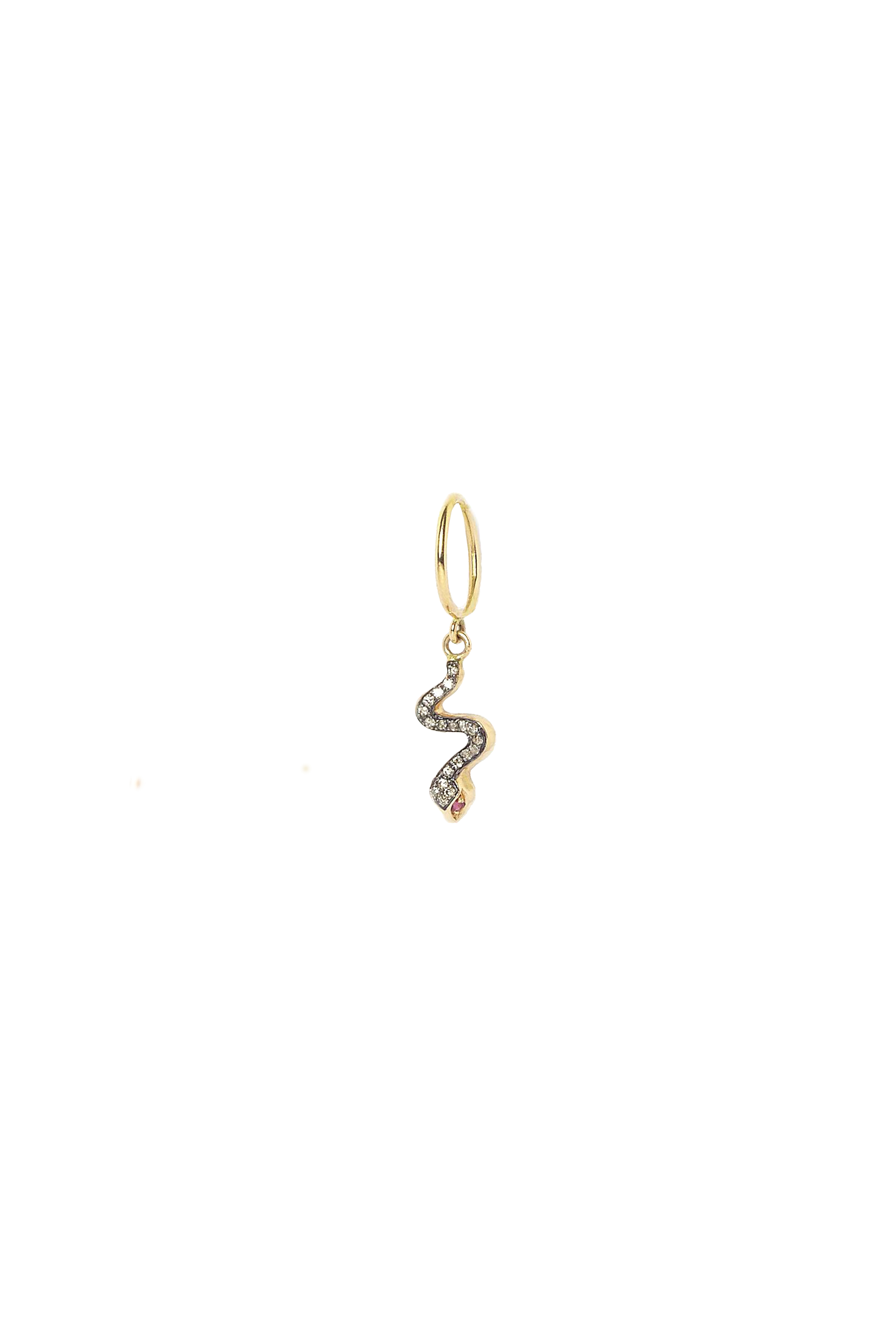 THE SNAKE WITH BROWN DIAMONDS AND RUBIES