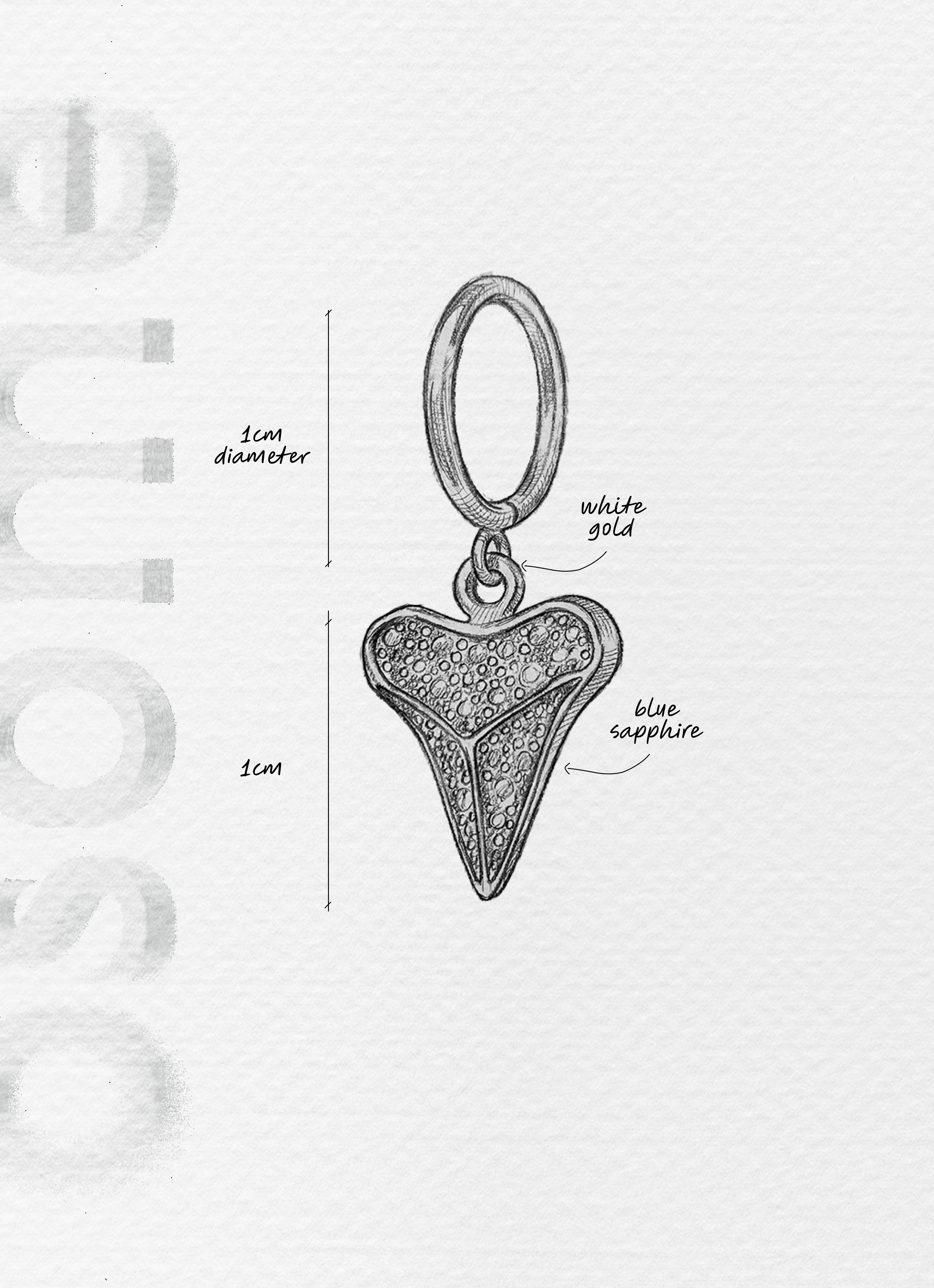 THE SHARK TOOTH WITH BLUE SAPPHIRE