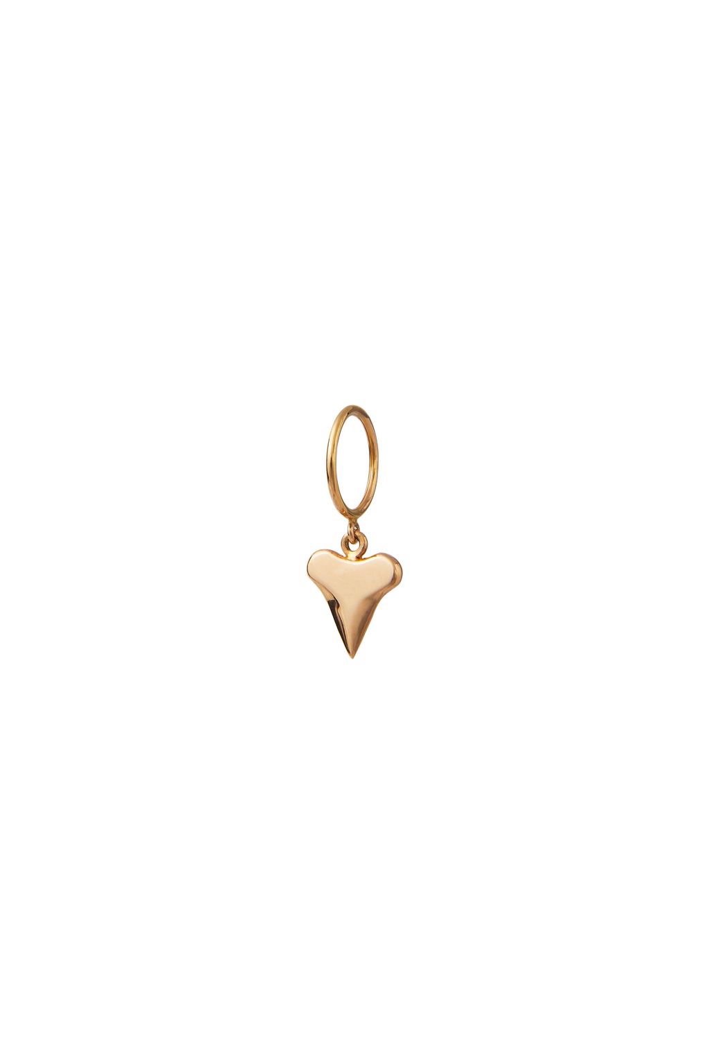 THE SHARK TOOTH