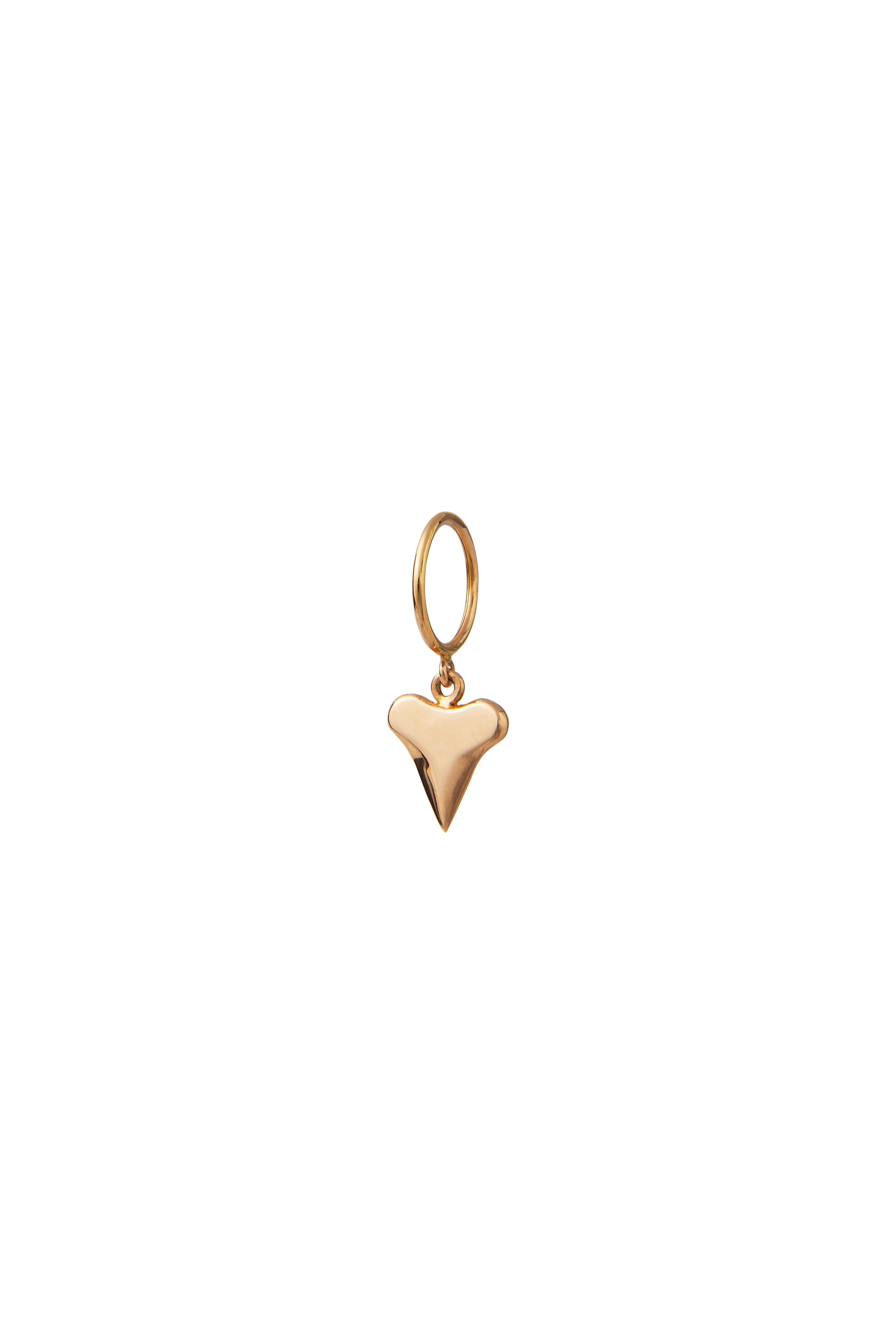 THE SHARK TOOTH