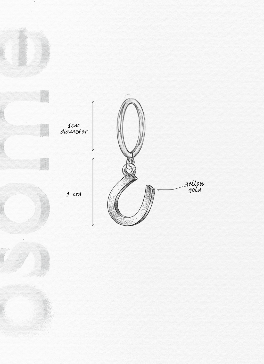 THE HORSE SHOE