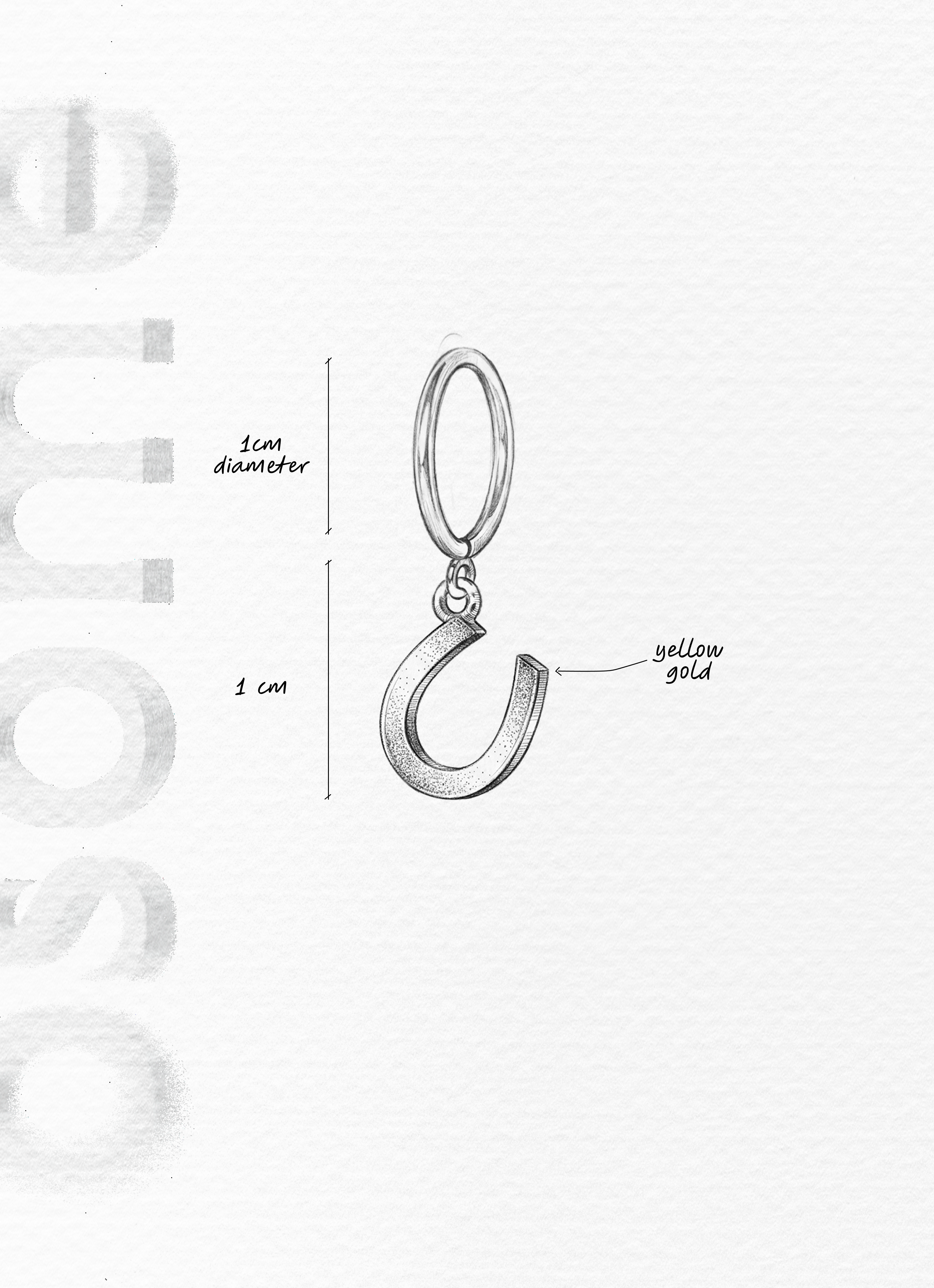 THE HORSE SHOE